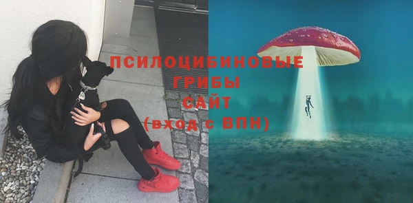 тгк Богородск