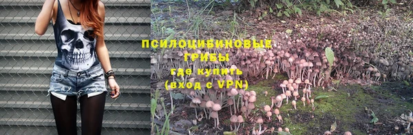 тгк Богородск