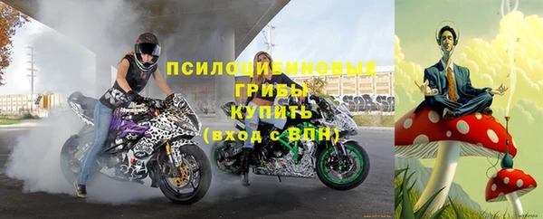тгк Богородск